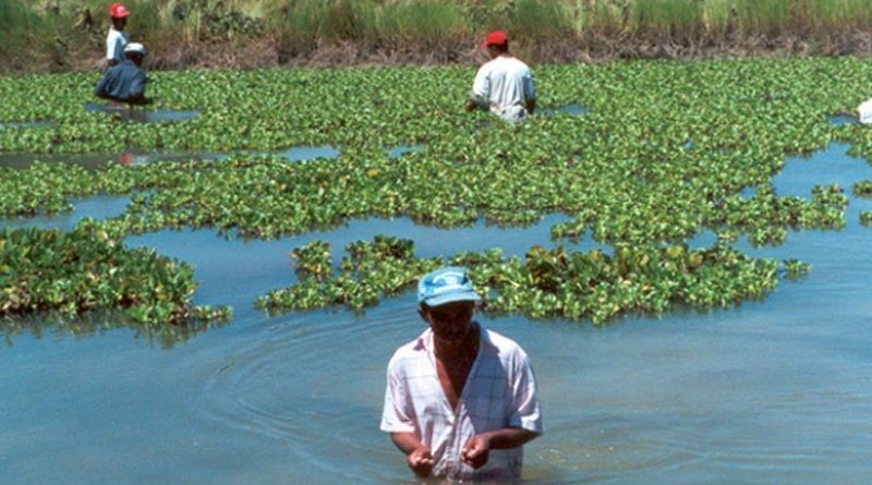 destaque-479616-governo