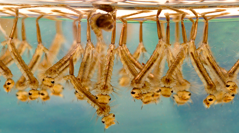 m9hotreo2fypk1vnychh