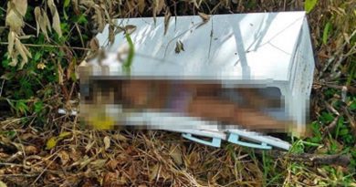 mulher-na-geladeiradfghhbb