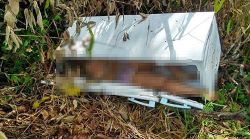 mulher-na-geladeiradfghhbb