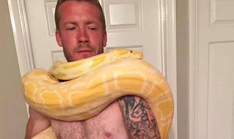 mundo-homem-morto-cobra