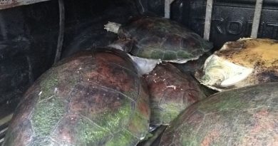 whatsapp-image-2018-01-16-at-14.43.38