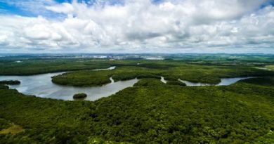 amazonia 1