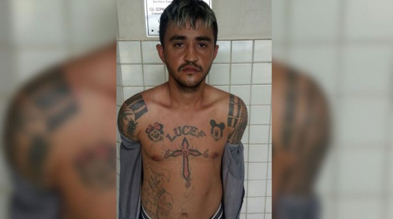 destaque-493067-morto