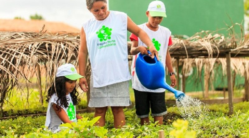 horta_comunitaria_(4)