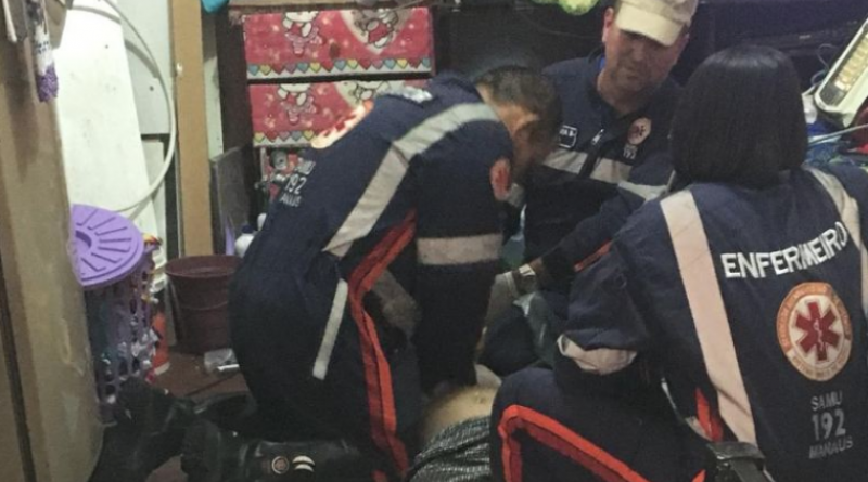 portaldoholanda-827118-imagem-foto-amazonas