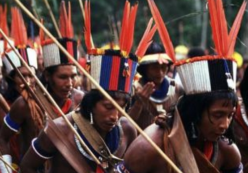 500x350_eba2e7230a974a77ea4097bf69ea6629