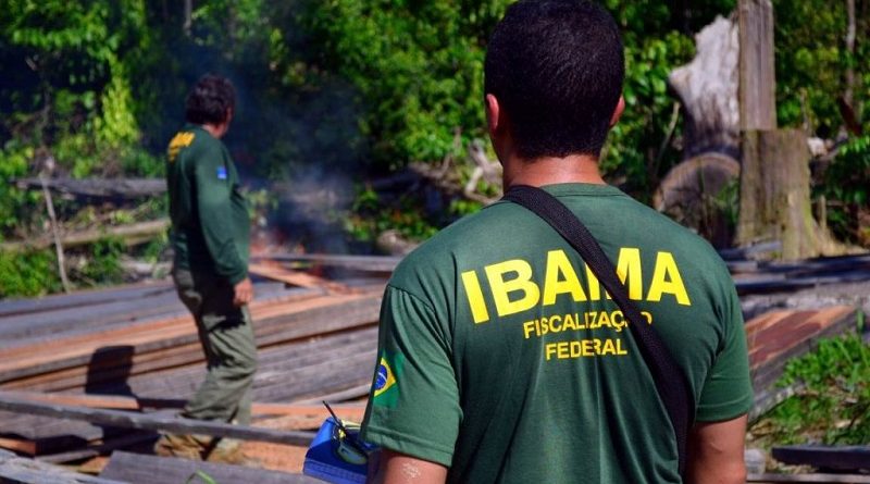 Ibama-1024x683