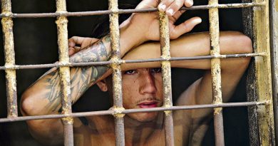 destaque-498263-r2r3rr2r