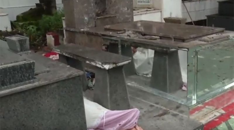 destaque-499829-mulher