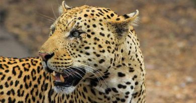 20180507082036673627a