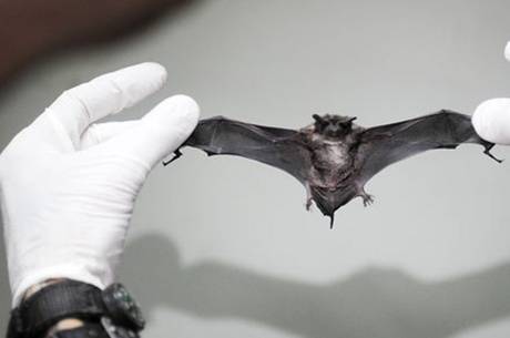 306kbsa12b_3j6x1lhyj3_file