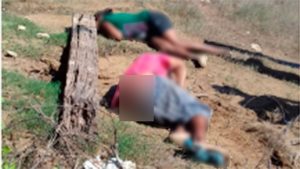 cobertores-19-05-2018-14-19-14