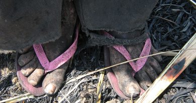 destaque-507779-trabalhadoresescravosdaagrovale7