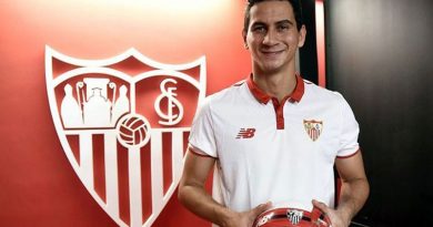 destaque-508443-ganso