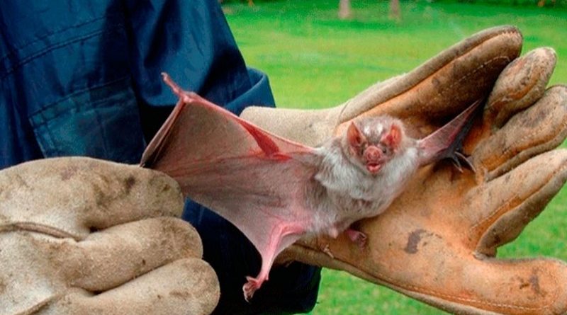 destaque-509339-raiva