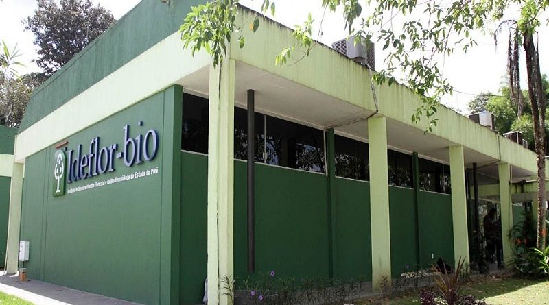 destaque-509820-44444