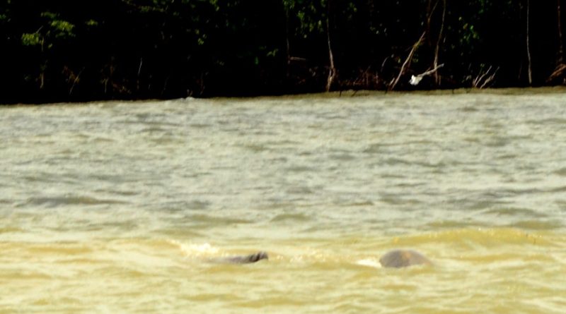 destaque-510297-seses