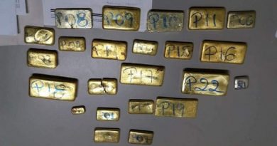 Ouro é encontrado em destroços de avião que caiu no Amazonas-(Foto: Divulgação/Polícia Civil)