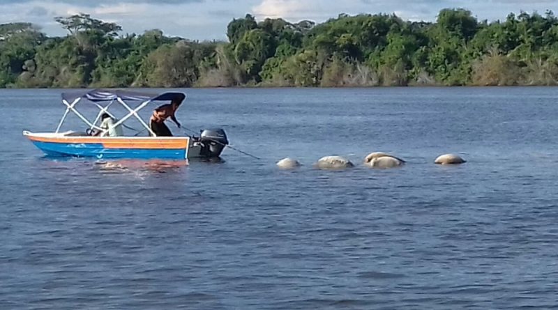 whatsapp-image-2018-05-11-at-12.29.39