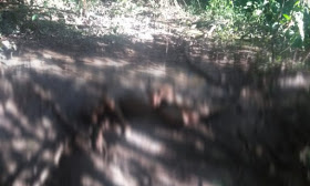 PhotoGrid_1527867721224-768x461