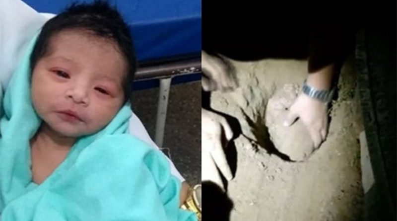 destaque-514260-reproducao