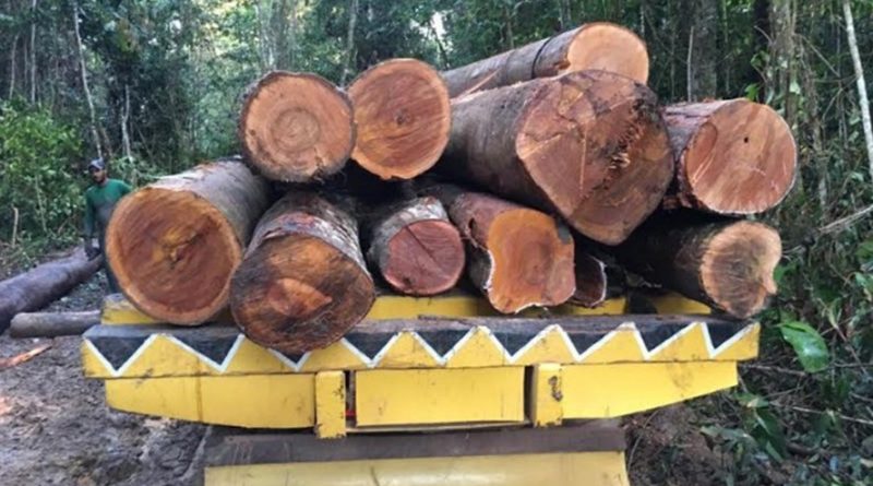 destaque-517085-madeira