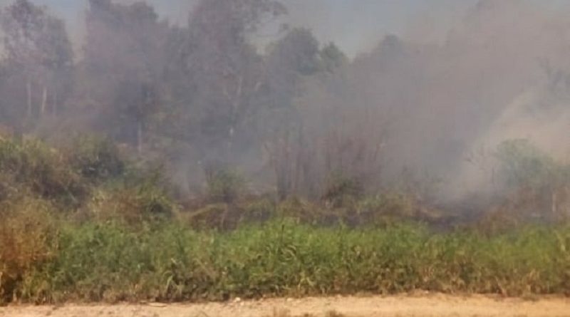 queima santarem jardim np