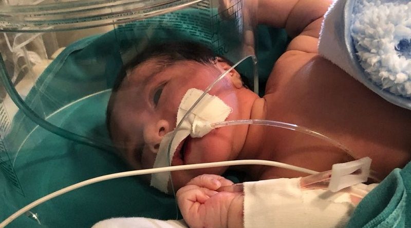 whatsapp-image-2018-06-06-at-22.24.22