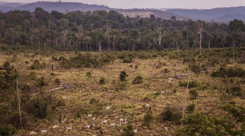 Jamanxin-Bernando-Câmara-1024x683