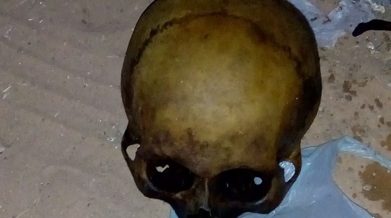 Ossos retirados do cemitério de Peixoto de Azevedo (Foto: Polícia Militar-MT)