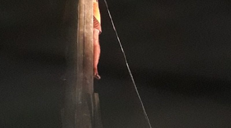 whatsapp_image_2018-07-03_at_22