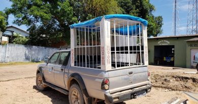 caminhonete-com-jaula