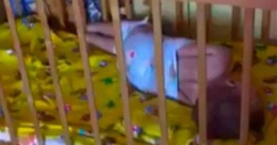 destaque-530507-creche