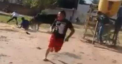 destaque-532933-bufalo