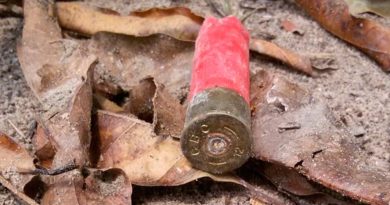 destaque-535031-cartuchobala_deflagrada