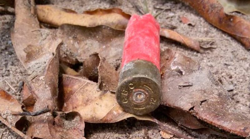 destaque-535031-cartuchobala_deflagrada