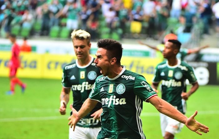 palmeiras
