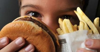 infantil alimentacao