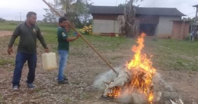 Mega-operacao-apreende-uma-tonelada-de-peixes-no-Lago-Tucurui-PA-2