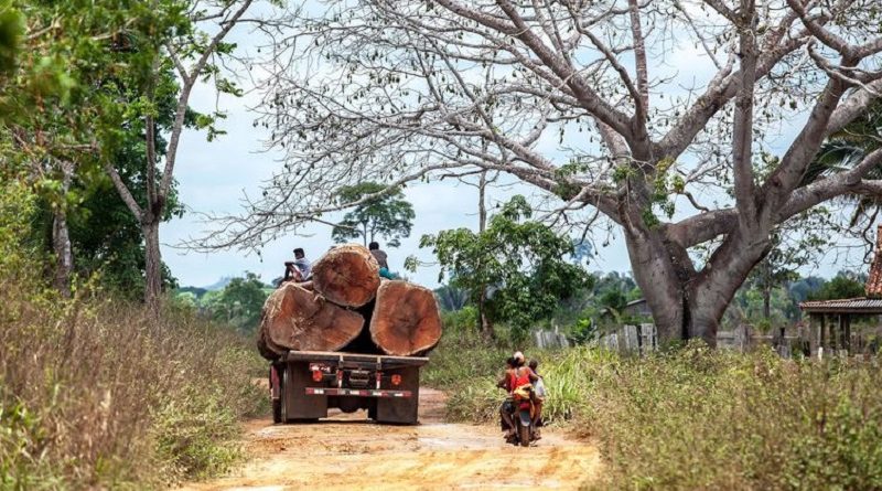 Caminhão carregado com toras trafega pela estrada Trans Iriri – Lilo Clareto/ISA/Direitos reservados