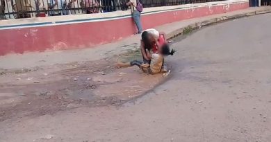 csm_briga_altamira_-_reproducao_video_b35352d473