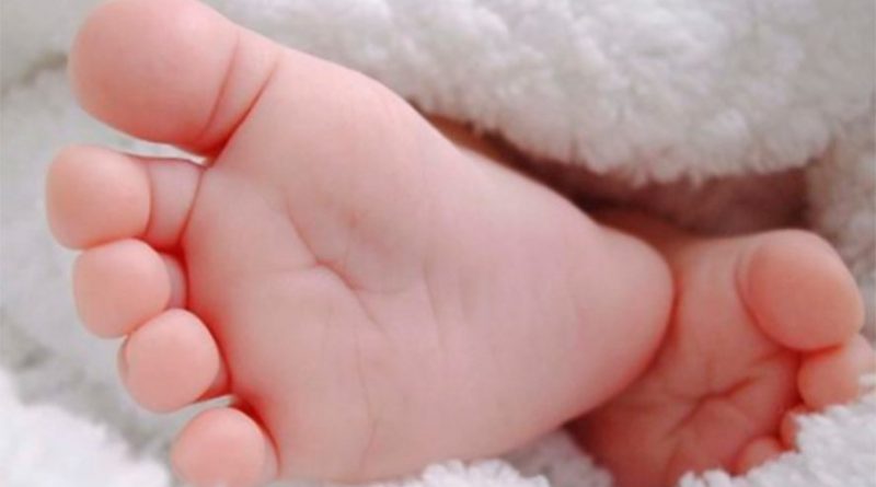 destaque-554316-bebe