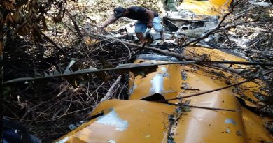 Avião agrícola caiu em área de mata em Peixoto de Azevedo — Foto: Polícia Militar de Mato Grosso/Divulgação