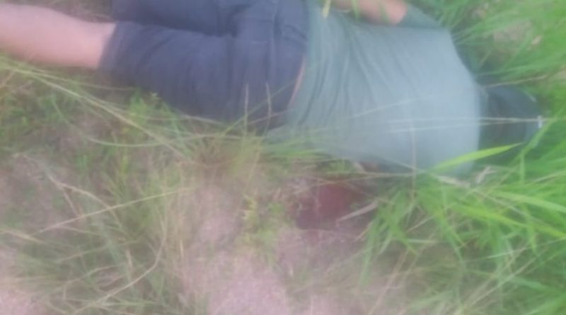 49309823_377575276141213_2040483535776645120_n