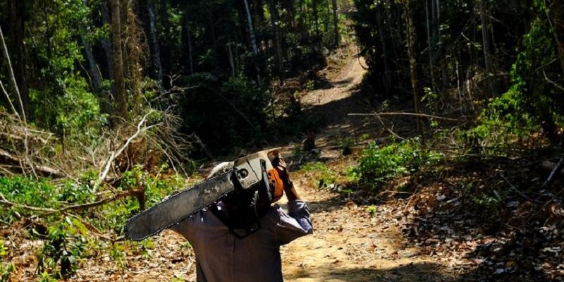 BRAZIL-AMAZON-DEFORESTATION