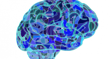 cerebro-azul