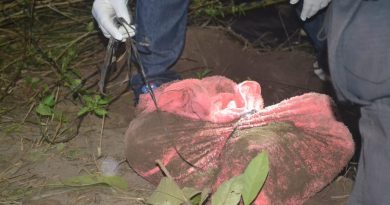 destaque-565974-crianca-2