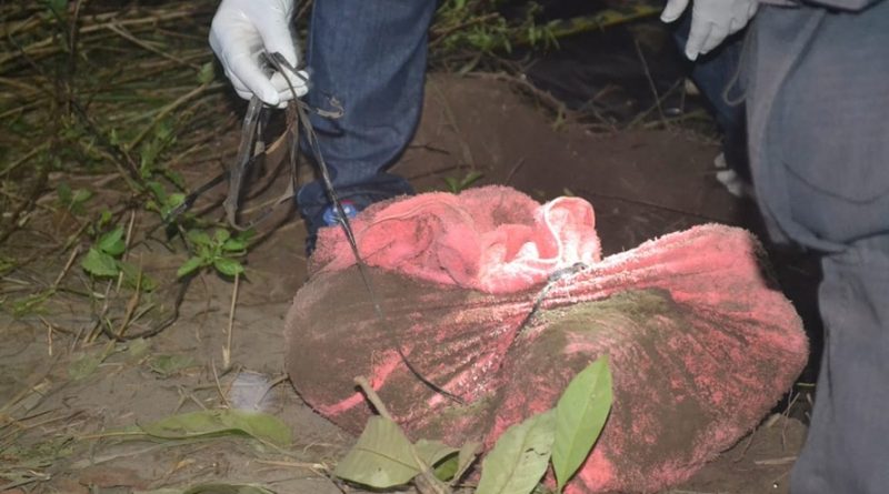 destaque-565974-crianca-2