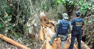 fiscalizacao_na_ti_arara